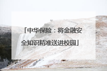 中华保险：将金融安全知识精准送进校园