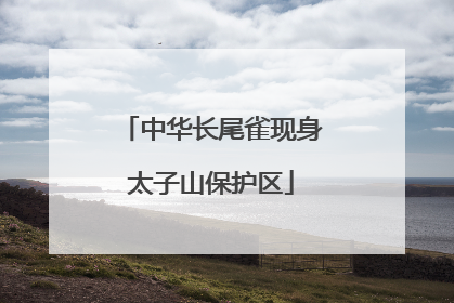 中华长尾雀现身太子山保护区
