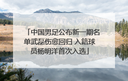 中国男足公布新一期名单武磊伤愈回归 入籍球员杨明洋首次入选