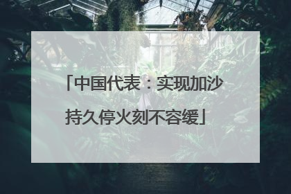 中国代表：实现加沙持久停火刻不容缓