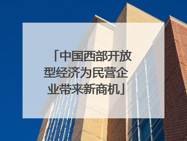 中国西部开放型经济为民营企业带来新商机