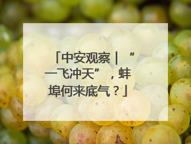 中安观察｜“一飞冲天”，蚌埠何来底气？