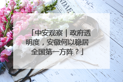 中安观察｜政府透明度，安徽何以稳居全国第一方阵？