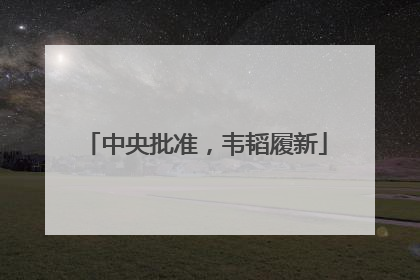 中央批准，韦韬履新