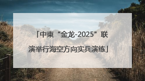 中柬“金龙-2025”联演举行海空方向实兵演练