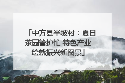 中方县半坡村：夏日茶园管护忙 特色产业绘就振兴新图景