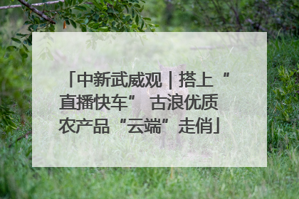 中新武威观｜搭上“直播快车” 古浪优质农产品“云端”走俏