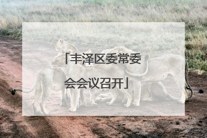 丰泽区委常委会会议召开