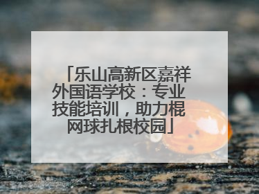 乐山高新区嘉祥外国语学校：专业技能培训，助力棍网球扎根校园