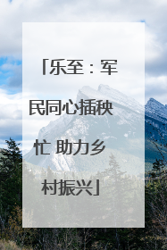 乐至：军民同心插秧忙 助力乡村振兴