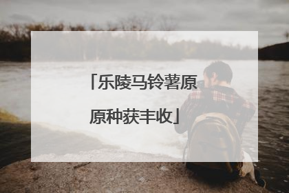 乐陵马铃薯原原种获丰收