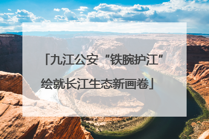 九江公安“铁腕护江”绘就长江生态新画卷