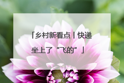 乡村新看点丨快递坐上了“飞的”