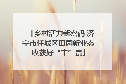 乡村活力新密码 济宁市任城区田园新业态收获好“丰”景