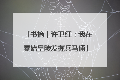 书摘｜许卫红：我在秦始皇陵发掘兵马俑