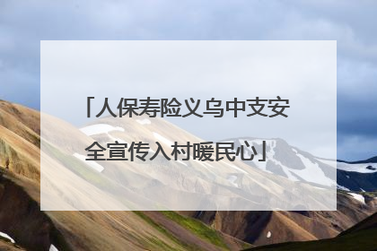 人保寿险义乌中支安全宣传入村暖民心