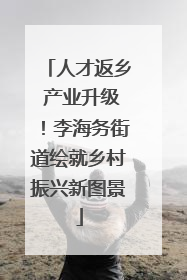 人才返乡 产业升级！李海务街道绘就乡村振兴新图景