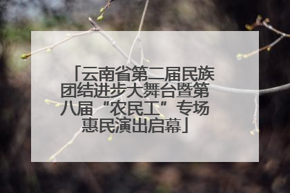 云南省第二届民族团结进步大舞台暨第八届“农民工”专场惠民演出启幕