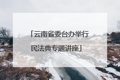 云南省委台办举行民法典专题讲座