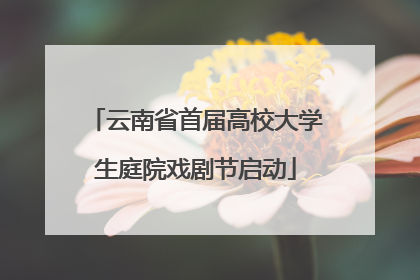 云南省首届高校大学生庭院戏剧节启动