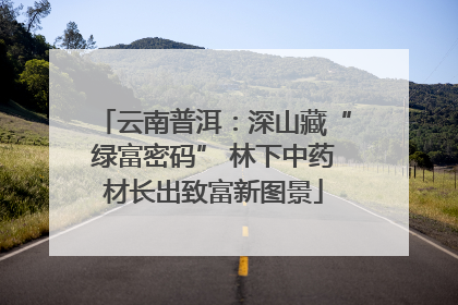 云南普洱：深山藏“绿富密码” 林下中药材长出致富新图景