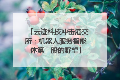 云迹科技冲击港交所：机器人服务智能体第一股的野望