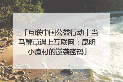 互联中国公益行动丨当马鞭草遇上互联网：昆明小渔村的逆袭密码