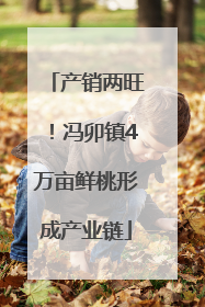 产销两旺！冯卯镇4万亩鲜桃形成产业链
