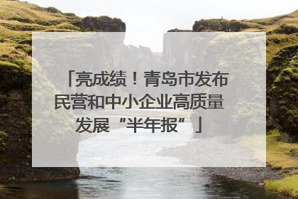 亮成绩！青岛市发布民营和中小企业高质量发展“半年报”