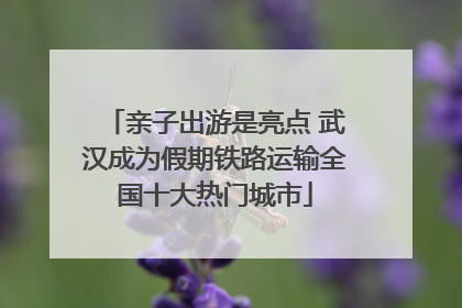 亲子出游是亮点 武汉成为假期铁路运输全国十大热门城市