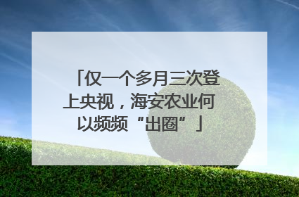 仅一个多月三次登上央视，海安农业何以频频“出圈”