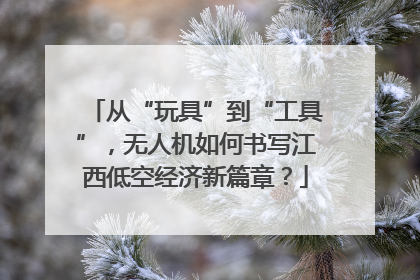 从“玩具”到“工具”，无人机如何书写江西低空经济新篇章？