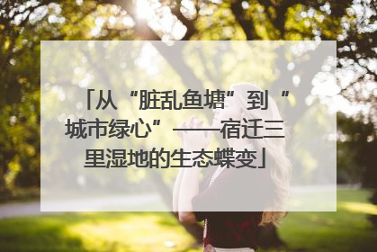 从“脏乱鱼塘”到“城市绿心”——宿迁三里湿地的生态蝶变