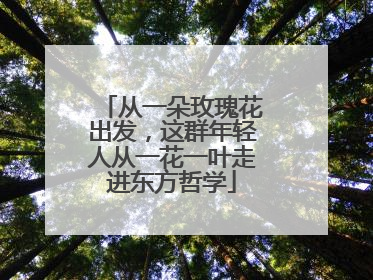 从一朵玫瑰花出发，这群年轻人从一花一叶走进东方哲学
