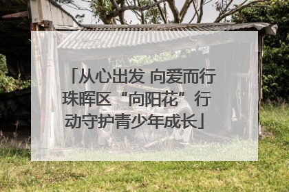 从心出发 向爱而行 珠晖区“向阳花”行动守护青少年成长