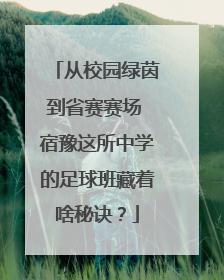 从校园绿茵到省赛赛场 宿豫这所中学的足球班藏着啥秘诀？