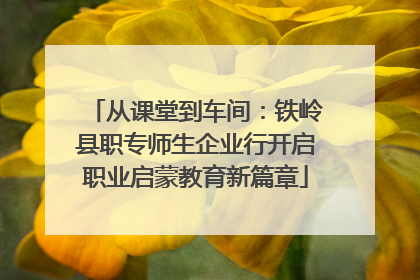 从课堂到车间：铁岭县职专师生企业行开启职业启蒙教育新篇章