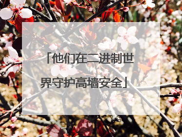 他们在二进制世界守护高墙安全