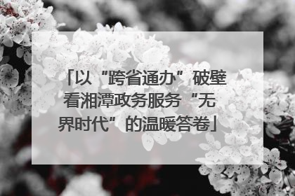 以“跨省通办”破壁 看湘潭政务服务“无界时代”的温暖答卷