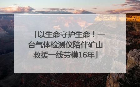 以生命守护生命！一台气体检测仪陪伴矿山救援一线劳模16年