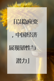 以稳应变，中国经济展现韧性与潜力