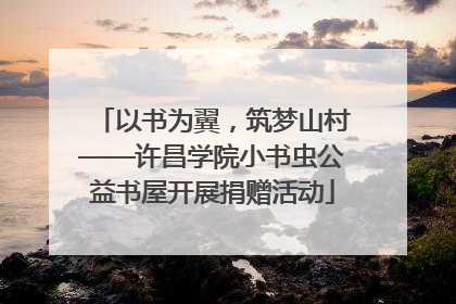 以书为翼，筑梦山村——许昌学院小书虫公益书屋开展捐赠活动