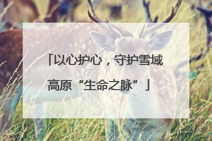 以心护心，守护雪域高原“生命之脉”