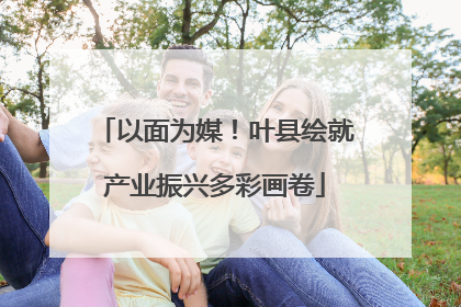 以面为媒！叶县绘就产业振兴多彩画卷