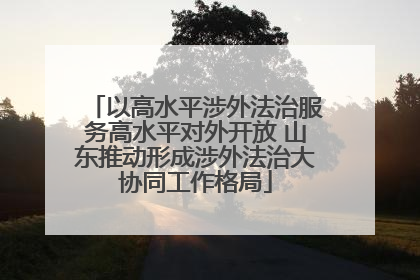 以高水平涉外法治服务高水平对外开放 山东推动形成涉外法治大协同工作格局