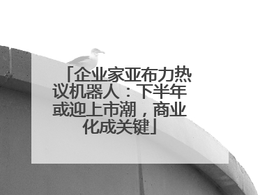 企业家亚布力热议机器人：下半年或迎上市潮，商业化成关键