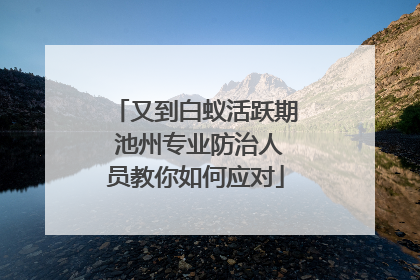 又到白蚁活跃期 池州专业防治人员教你如何应对
