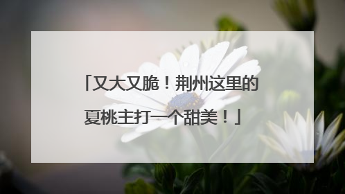 又大又脆！荆州这里的夏桃主打一个甜美！
