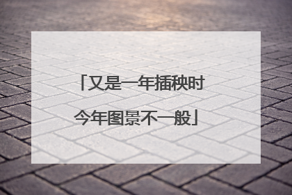 又是一年插秧时 今年图景不一般