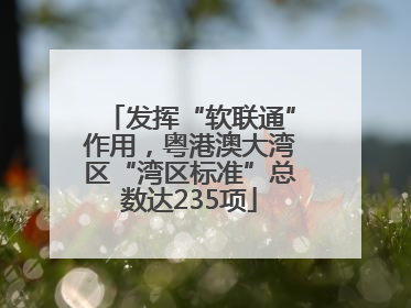 发挥“软联通”作用，粤港澳大湾区“湾区标准”总数达235项